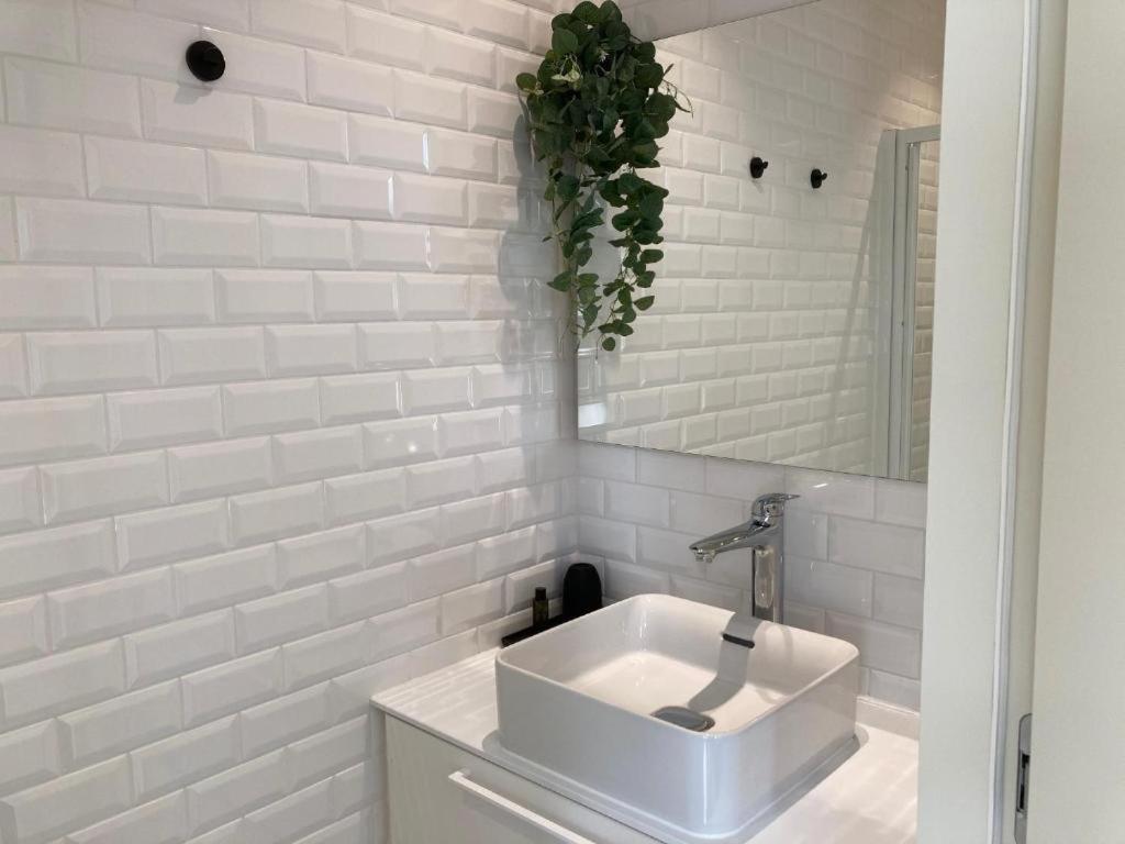 אנטוורפן Borgerhouse B&B מראה חיצוני תמונה